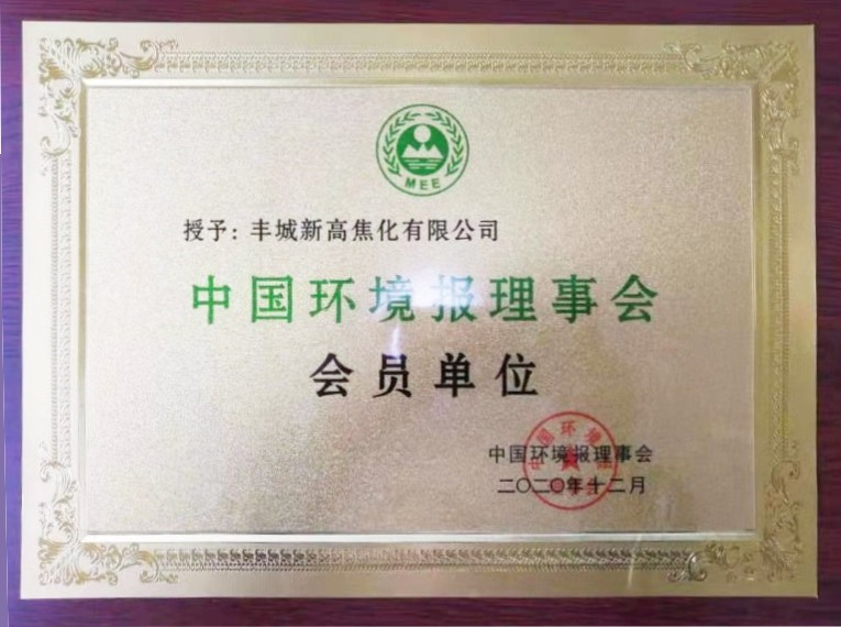 中國環(huán)境報理事會