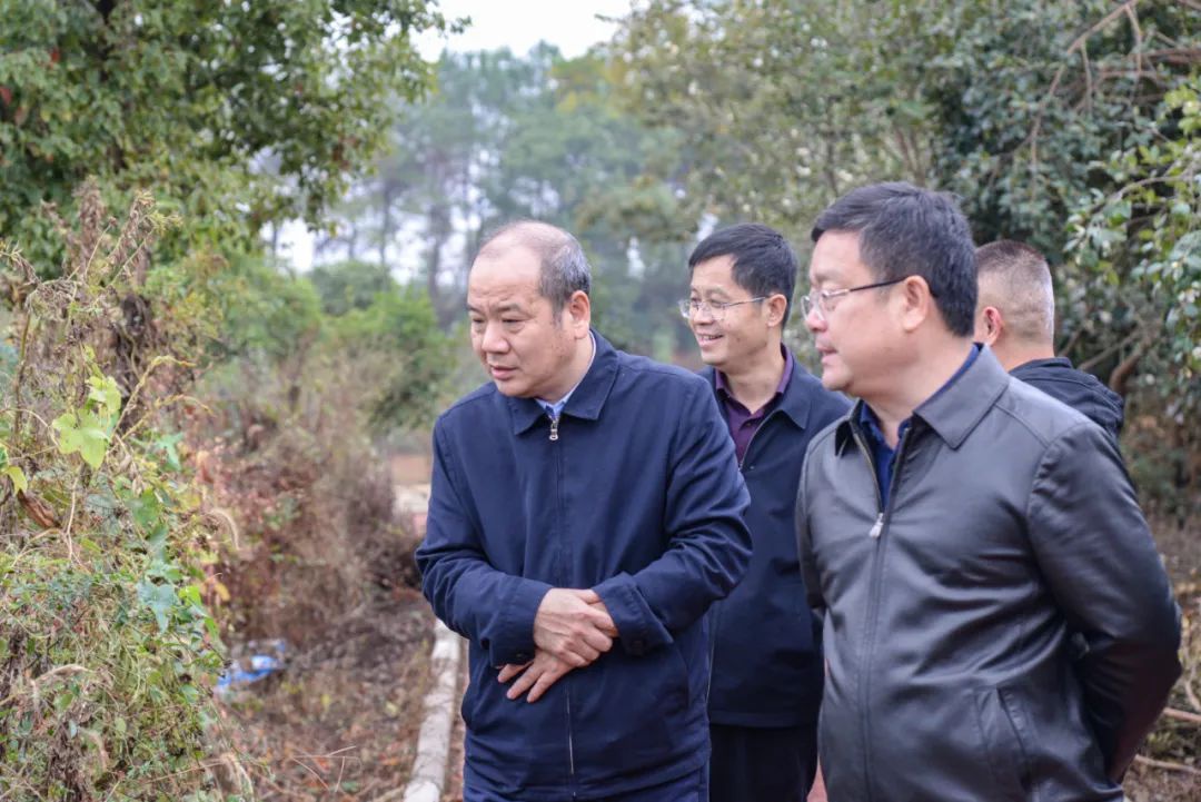 1669620406123927.jpg 640 (10).jpg