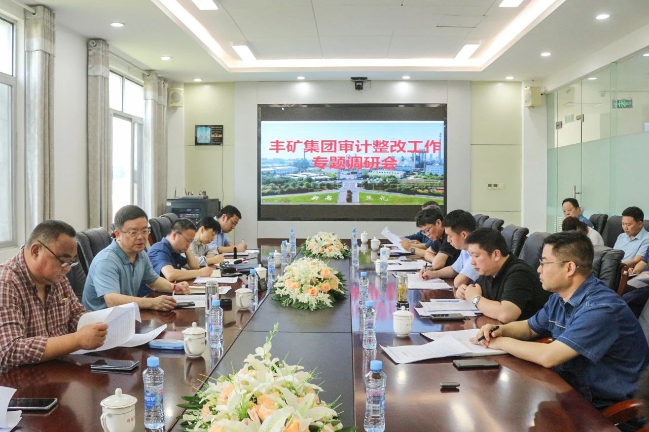 主題教育 | 鄧福保圍繞提升審計(jì)整改成效課題開(kāi)展調(diào)研